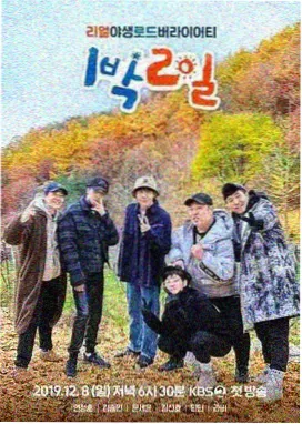 慢综艺回潮趋势分析配图